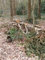 Een takkenril is meer dan een bos hout